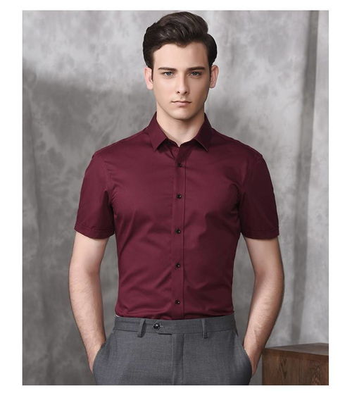 湯河之家 酒紅色襯衫男短袖商務修身免燙宴會婚禮婚慶禮服男襯衣