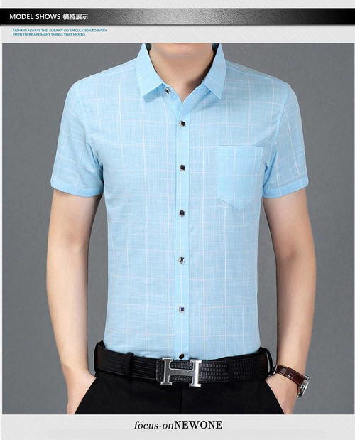 湯河之家 2020短袖襯衫爸爸裝男士夏季格子襯衣 郵樂網